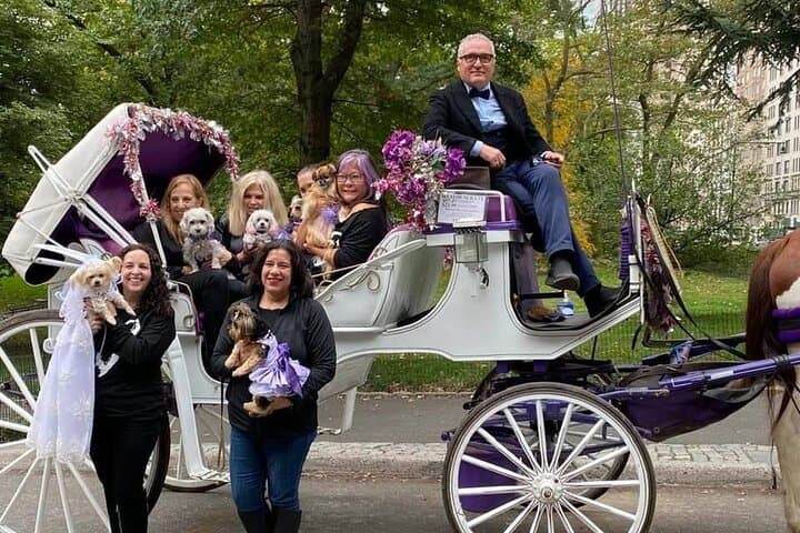 NYC Central Park VIP Horse and Carriage Ride