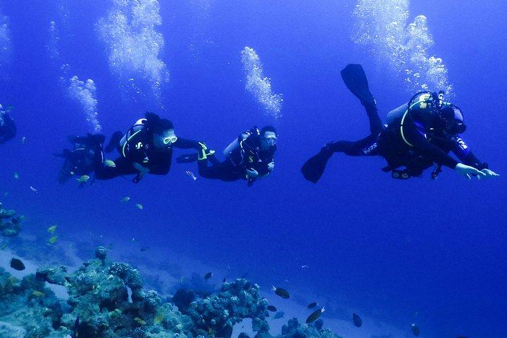 PADI Open Water Diver Course - 5 Days Scuba Diving