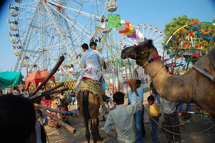 ジョードプルからプシュカル経由ジャイプールへの片道送迎、ランチ付き