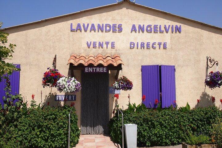 Excursão aos campos de lavanda em Valensole saindo de Marselha
