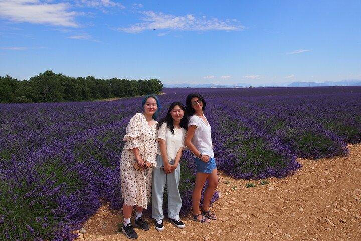 Excursão aos campos de lavanda em Valensole saindo de Marselha