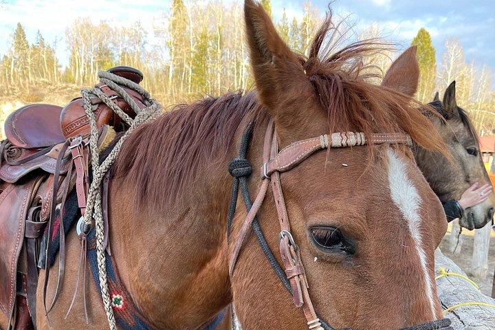 ジャクソンホールのグランドティトンビューの乗馬