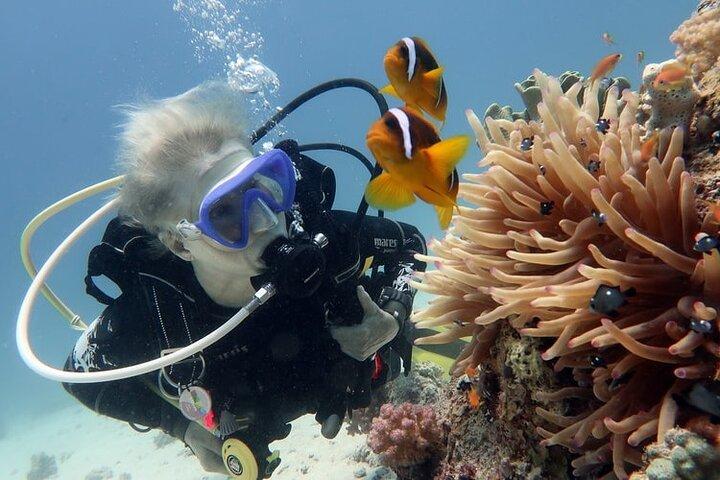 Hurghada snorkeltrip naar Orange Bay Island