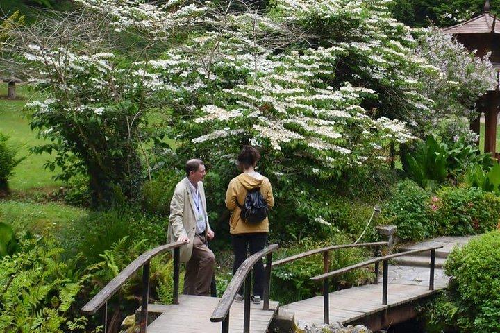 Full Day Private Wicklow Tour