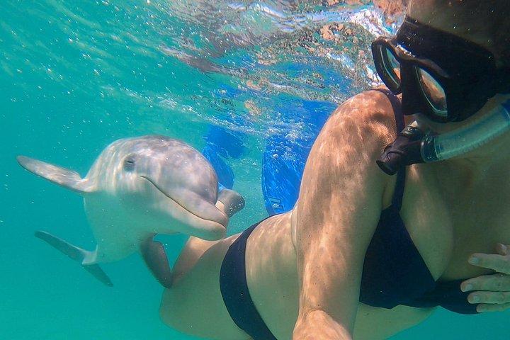 Group Reef, Beach and Sandbar Tour from Providenciales