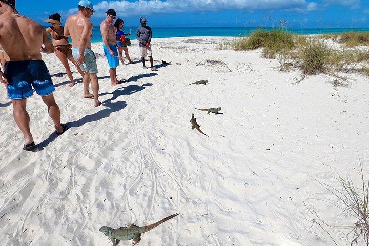 Group Reef, Beach and Sandbar Tour from Providenciales