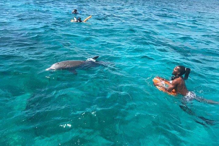 Group Reef, Beach and Sandbar Tour from Providenciales