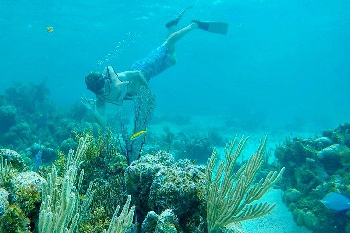 Group Reef, Beach and Sandbar Tour from Providenciales