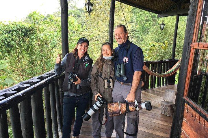 Chicaque Cloud Forest Birding & Birdwatching - Half day