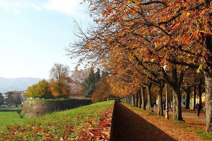Walking Ramparts Tour in Lucca