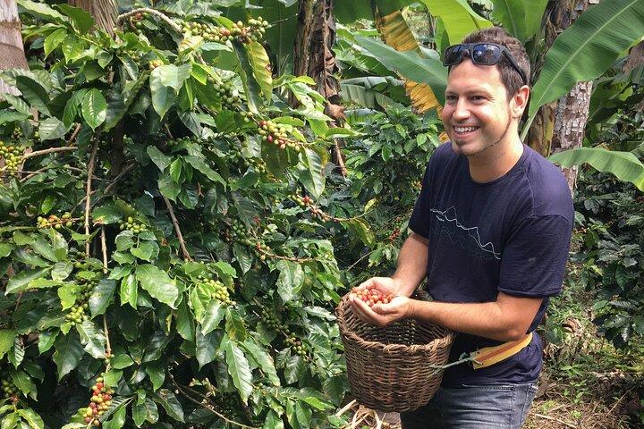 Recorrido del café tradicional Birds & Beans