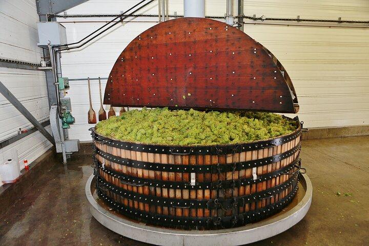 Visite Tradition vignoble au Val de Livre et dégustation de cuvées