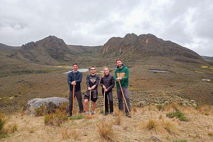 Sumapaz Mountaintop Páramo Trek - 3 hours