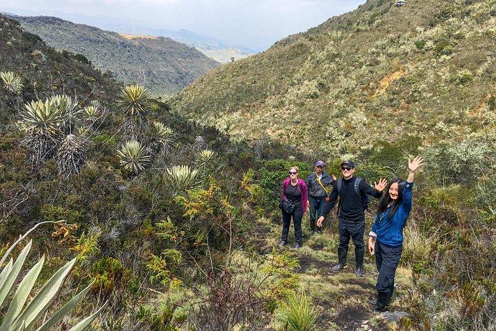 Sumapaz Mountaintop Páramo Trek - 3 hours