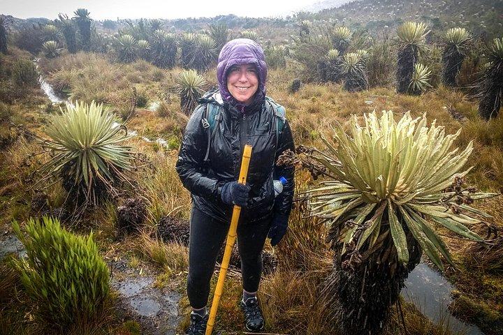Sumapaz Mountaintop Páramo Trek - 3 hours