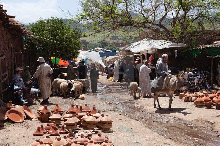 Ourika Valley & Atlas Mountains Day Trip from Marrakech & Lunch