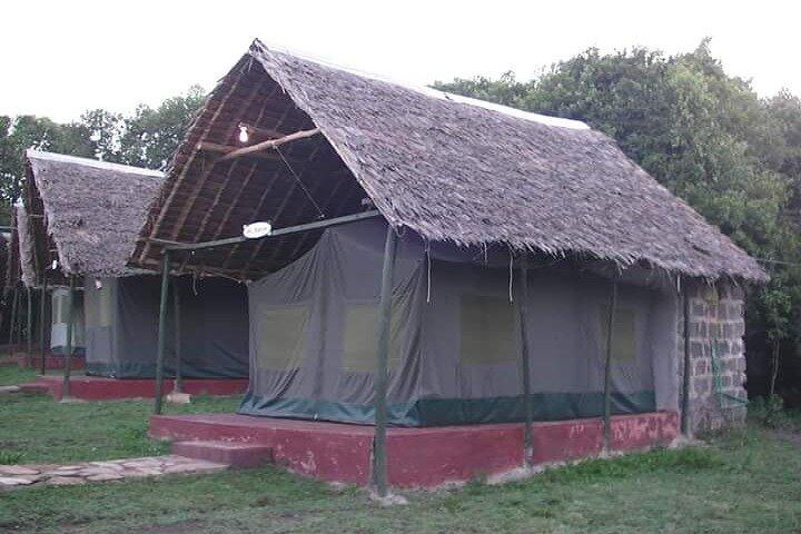 5 - Day Masai Mara, Lake Nakuru & Naivasha Petits prix en camping Safari