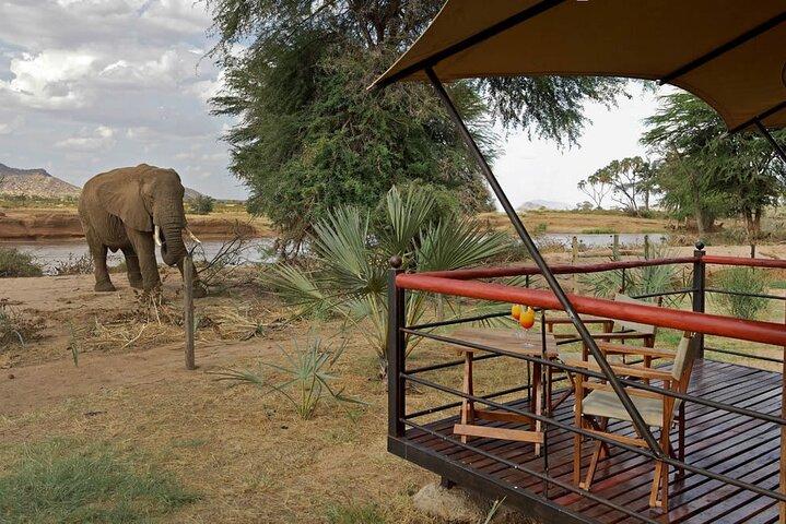 5 - Day Masai Mara, Lake Nakuru & Naivasha Petits prix en camping Safari