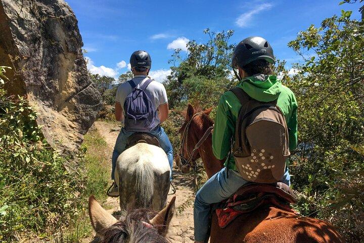 Andengebirge Reiten - Halber Tag