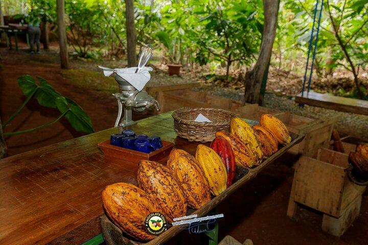 Combo 3: Manuel Antonio Park Tour e Chocolate Tour