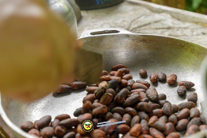 Combo 3: Manuel Antonio Park Tour e Chocolate Tour