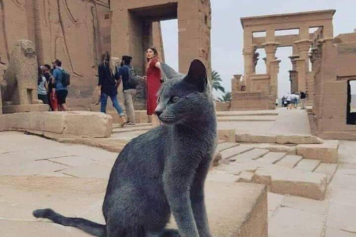 zielsverwant{4days luxor,aswan}