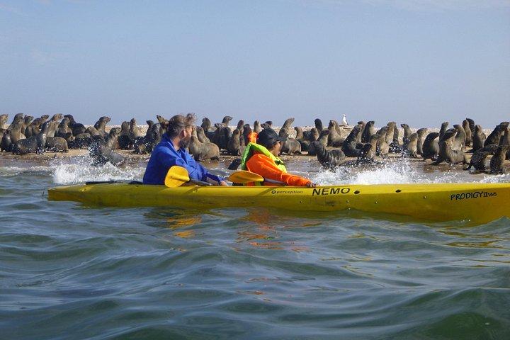 Kayak Sand Combo