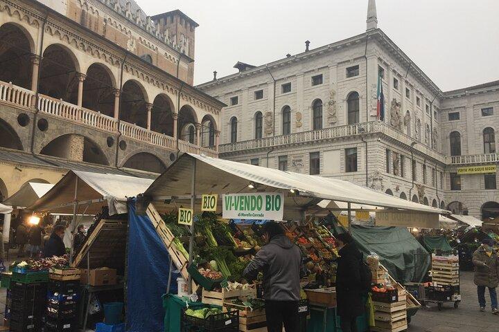 Tour privati di Padova con una guida professionale
