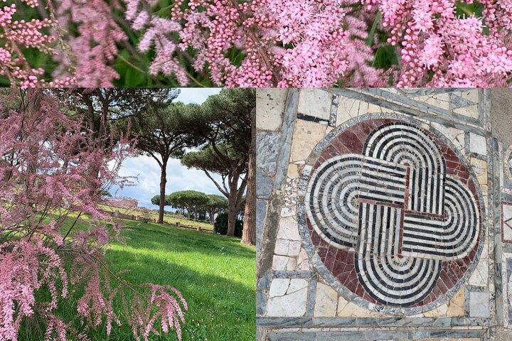 Ostia Antica - Regaliamo emozioni