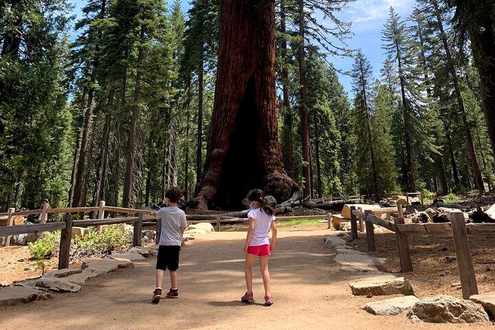 Visite privée de Yosemite au départ de San Francisco