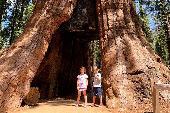 Visite privée de Yosemite au départ de San Francisco