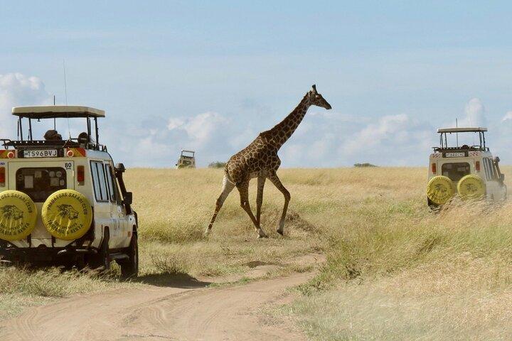 Safari 4x4 groupe Maasai Mara 3 jours (options Budget ou Chambre de luxe)