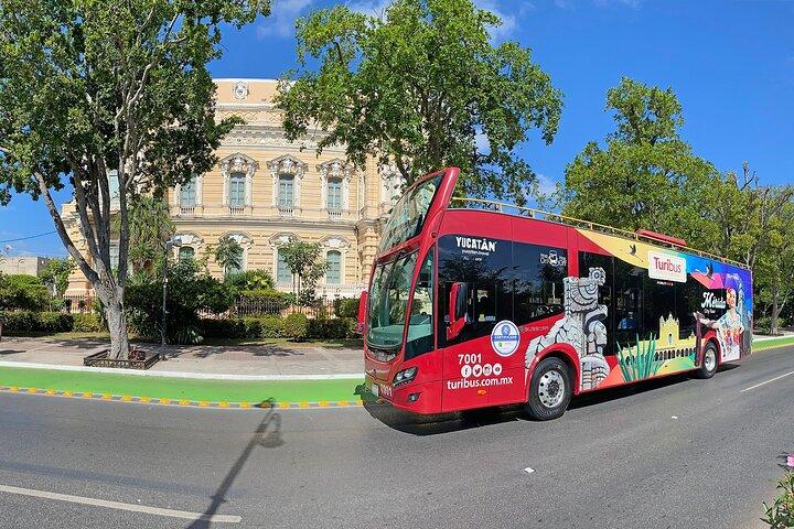 Panoramic Sightseeing Bus City Tour of Merida with 2 Routes