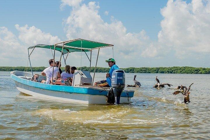 Lago Rosa Las Coloradas + Rio Lagartos Riserva! Da Cancun