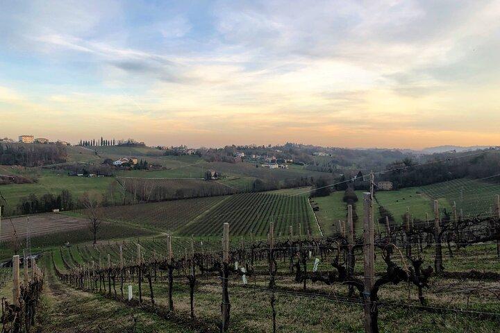 Tour gastronómico y vinícola en las colinas de Prosecco desde Venecia