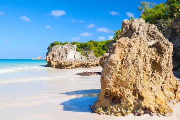 Punta Cana Guided Buggy Adventure Tour
