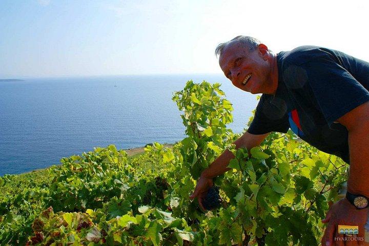 Twice the Wine - Two wineries half day tour, with delicacies