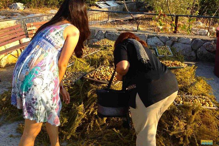Twice the Wine - Two wineries half day tour, with delicacies