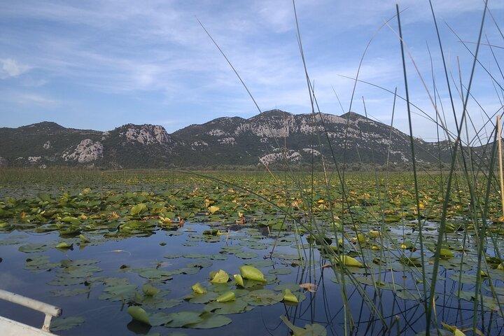 Bådtur i Skadar-søen gennem "montenegrinsk Amazonas", vinsmagning og Niagara-vandfaldene