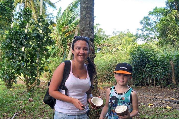 'Walk-about' Tour: udforske Rarotonga til fods!
