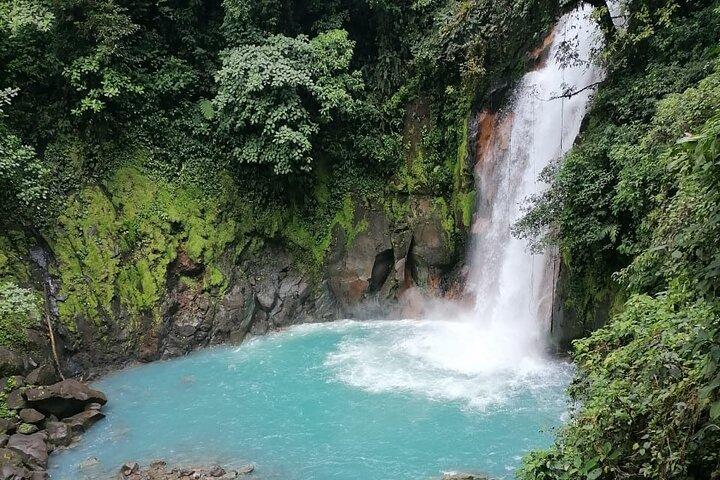 Premium-Tour: Faultiere und Río Celeste y Cortez Wasserfälle (Tenorio Volcano Park)