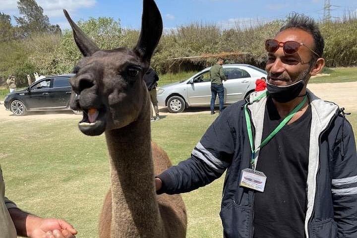 ホテル送迎付きカイロからの8時間のアフリカサファリパークプライベートツアー