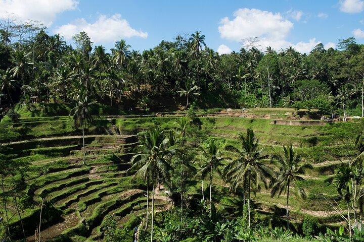 Bali Private Van Charter & Custom Day Tour avec chauffeur