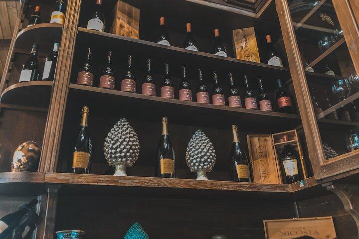 Etna Wine Tour