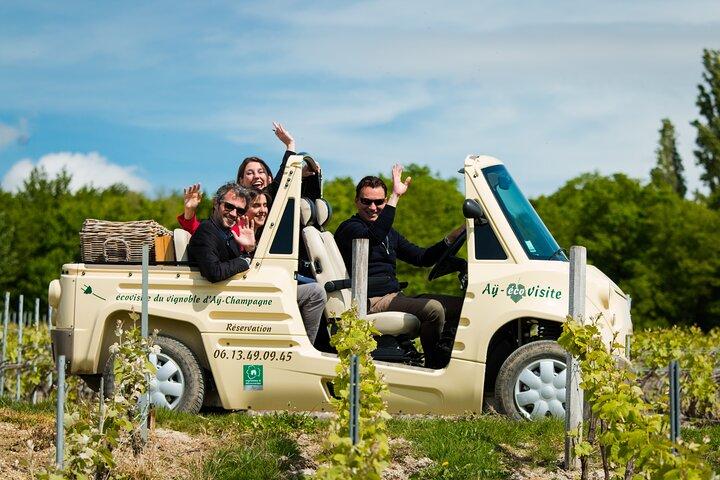 Visita guidata del vigneto Aÿ e degustazione di Champagne