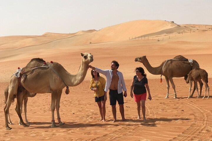 Liwa Full Day Desert Safari (exploring)