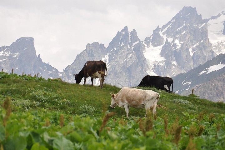 4-dages Svaneti Vandretur