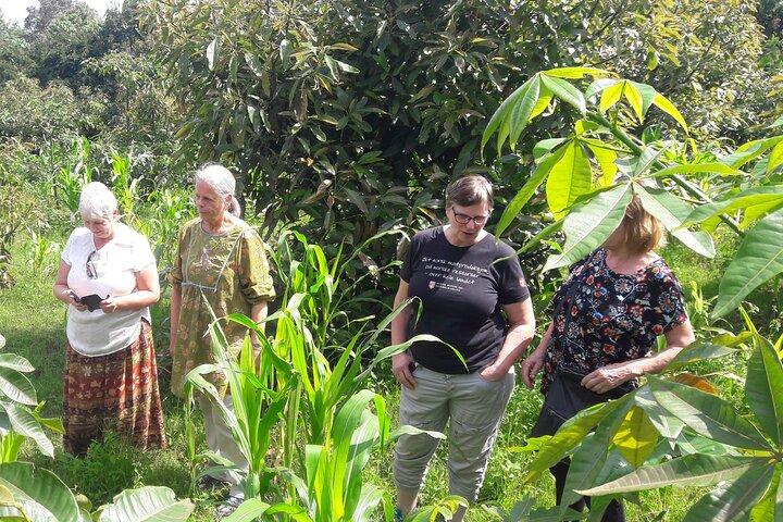 Marangu Waterfalls and Chagga Cultural Tour