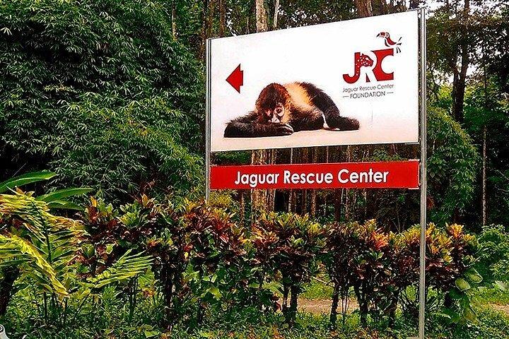 カウイータ国立公園のあるジャガーレスキューセンターの一日