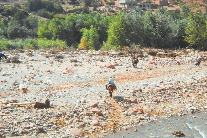 Zat-vallei en privédagtrip naar het Atlasgebergte vanuit Marrakech met lunch.